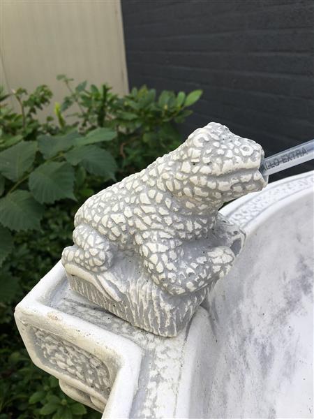 Grote foto tuinfontein met spuwende kikkers vol steen tuin en terras overige tuin en terras