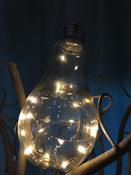 Grote foto led gloeilamp glas staand model prachtig sfeervol huis en inrichting overige
