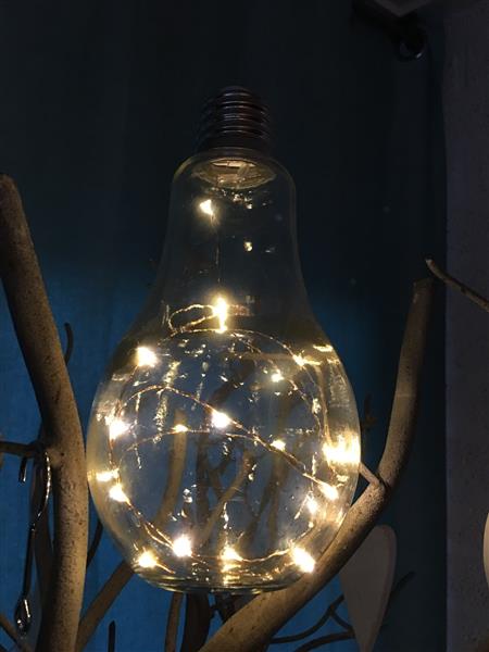Grote foto led gloeilamp glas staand model prachtig sfeervol huis en inrichting overige