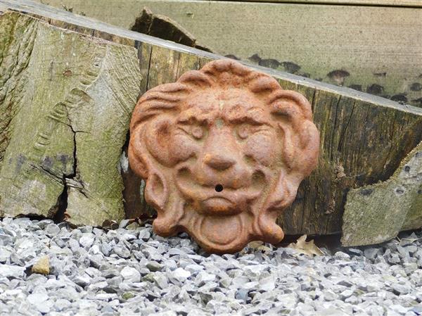 Grote foto waterspuwer gietijzer leeuw s tuin en terras overige tuin en terras