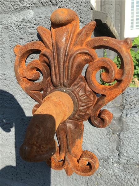 Grote foto waterspuwer voor muur fontein lelie neptunus tuin en terras overige tuin en terras