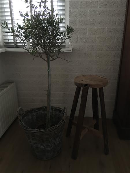 Grote foto koloniaals hardhouten hocker krukje tafeltje huis en inrichting eettafels