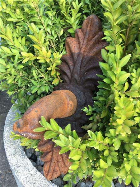 Grote foto waterspuwer voor muur fontein rozet doppelblatt cast iron roest. tuin en terras overige tuin en terras