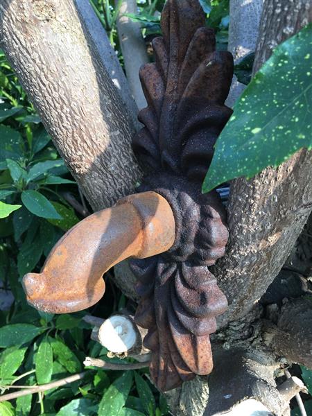 Grote foto waterspuwer voor muur fontein rozet doppelblatt cast iron roest. tuin en terras overige tuin en terras