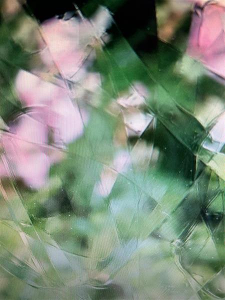Grote foto een antiek ogende stalraam open te klappen onbehandeld gietijzer rust oppervlak venster tuin en terras tuindecoratie