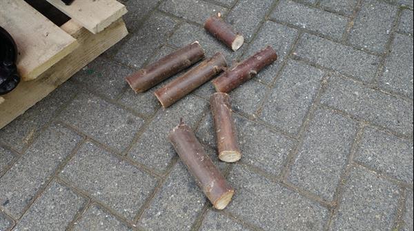 Grote foto remet r120 takken stam knipper agrarisch bosbouw