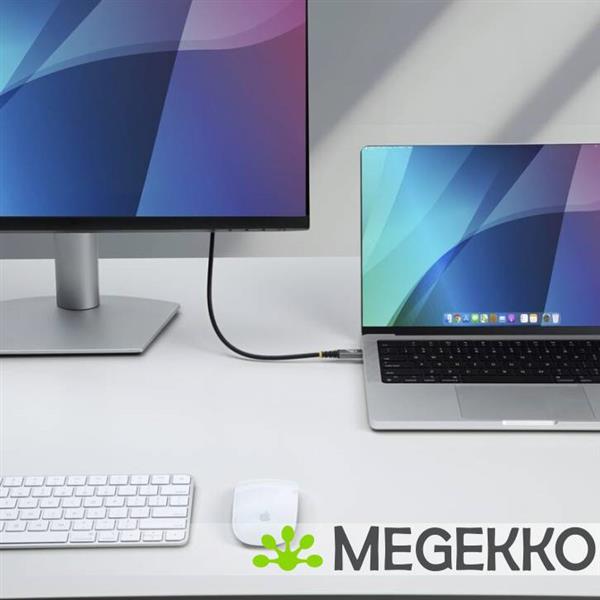 Grote foto startech.com 50cm usb4 kabel 80gbps usb if gecertificeerde usb c kabel 240w pd 8k 120hz 4k 240hz computers en software overige