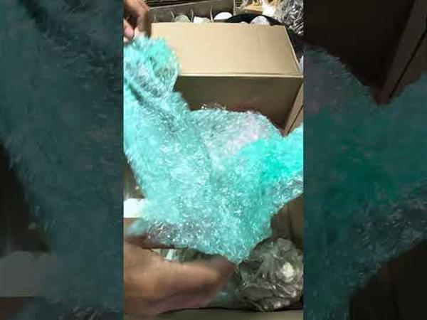 Grote foto summer mysterybox 5 schelpen en zeesterren bekijk video voor inhoud tuin en terras sierplanten