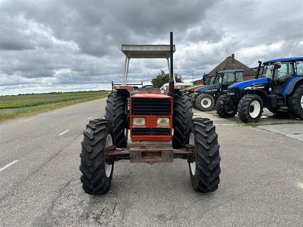 Grote foto fiat 80 66 dt agrarisch tractoren