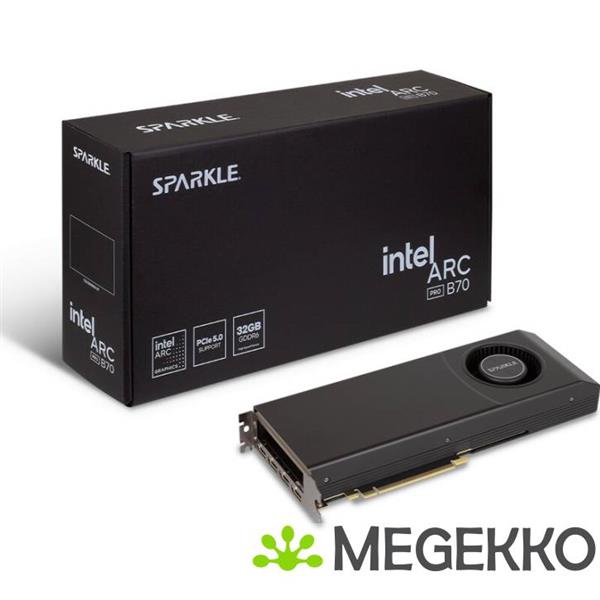 Grote foto sparkle intel arc pro b70 blower 32gb computers en software videokaarten