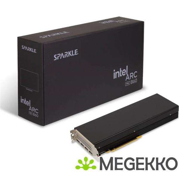 Grote foto sparkle intel arc pro b60 24gb passive computers en software videokaarten
