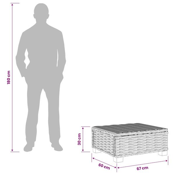 Grote foto vidaxl salontafel gendt natuurlijk rattan naturel 67 x 60 x 30 cm tuin en terras tuinmeubelen