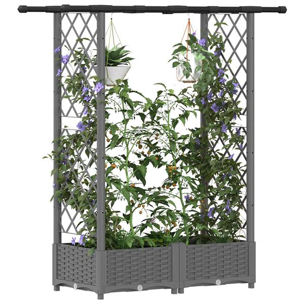 Grote foto vidaxl verhoogd bed met trellis en dak lichtgrijs 122 5 x 40 x 121 cm tuin en terras overige tuin en terras