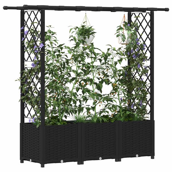 Grote foto vidaxl verhoogd bed met trellis en dak zwart 162 5 x 40 x 136 cm pp tuin en terras overige tuin en terras