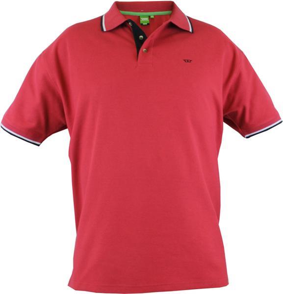 Grote foto grote maten poloshirts kleding heren badmode zwemkleding