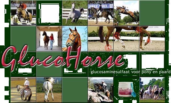 Grote foto bescherm de gewrichten van uw paard met glucohorse dieren en toebehoren beschermers