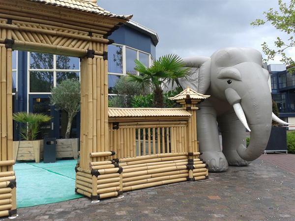 Grote foto olifant decoratie huren tijger rekwisieten jungle diensten en vakmensen bedrijfsuitjes