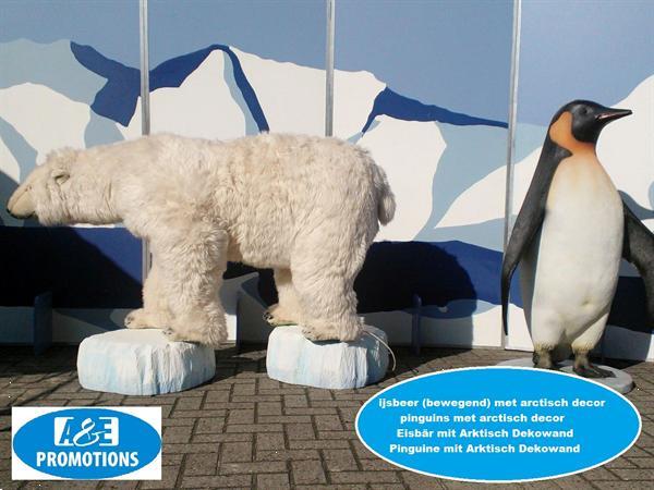 Grote foto levensgrote ijsbeer huren noordholland 0599416200 diensten en vakmensen entertainment