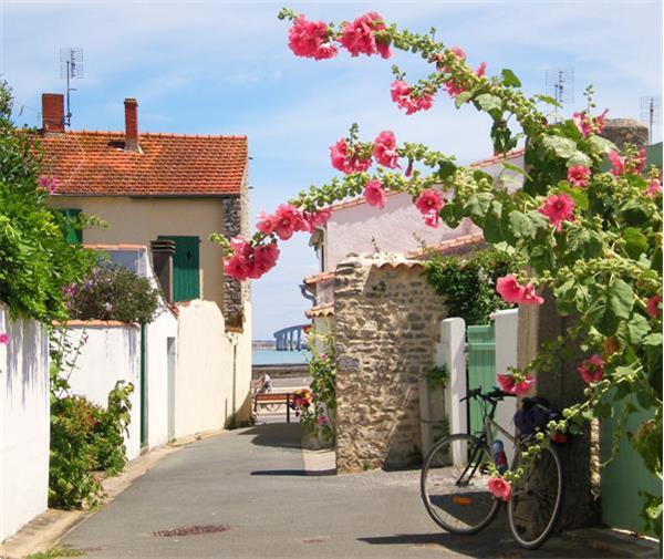 Grote foto ile de re vakantiehuis aan zee in frankrijk vakantie frankrijk