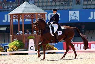 Grote foto bandageset gratis bij aankoop van glucohorse dieren en toebehoren beschermers