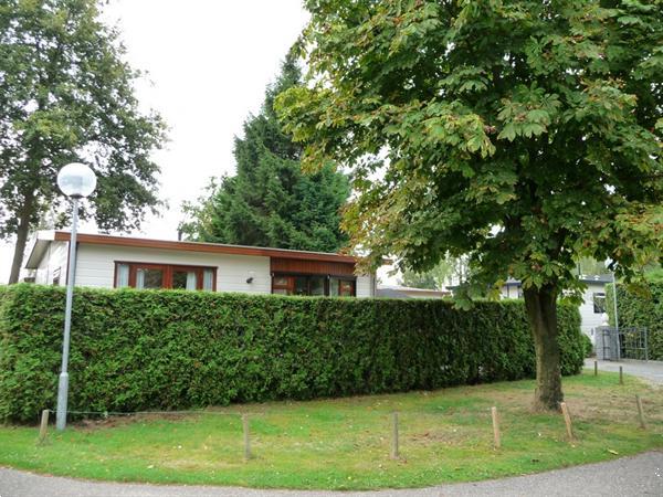 Grote foto te koop mooi chalet vakantie nederland zuid