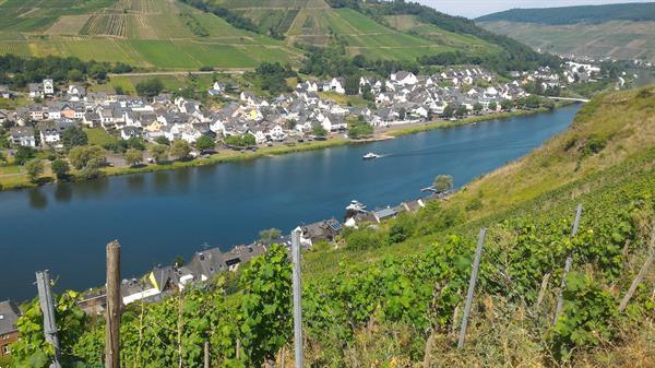 Grote foto motor vakantiewoning aan de moezel haus waldeck vakantie duitsland west