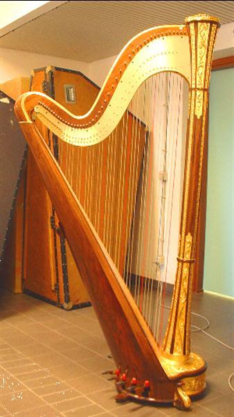 Grote foto te koop harp salvi minerva grand concert muziek en instrumenten harpen