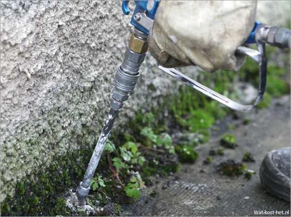 Grote foto vochtproblemen oplossen diensten en vakmensen bouw en reparatie