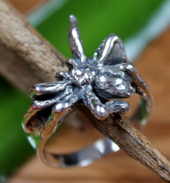 Grote foto echt zilveren ringen snelle verzending sieraden tassen en uiterlijk ringen voor haar
