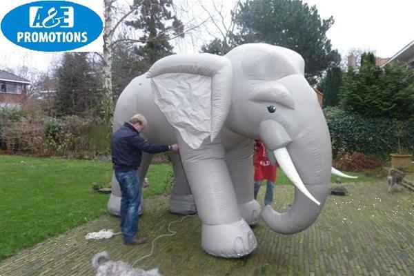 Grote foto blikvanger olifant huren eyecatcher amsterdam zakelijke goederen overige