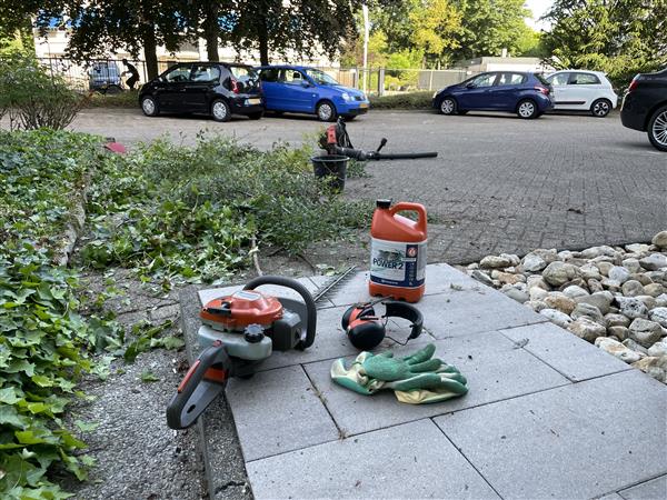 Grote foto tuinonderhoud regio breda tilburg dordrecht diensten en vakmensen tuinmannen en stratenmakers