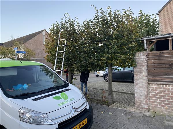 Grote foto tuinonderhoud regio breda tilburg dordrecht diensten en vakmensen tuinmannen en stratenmakers