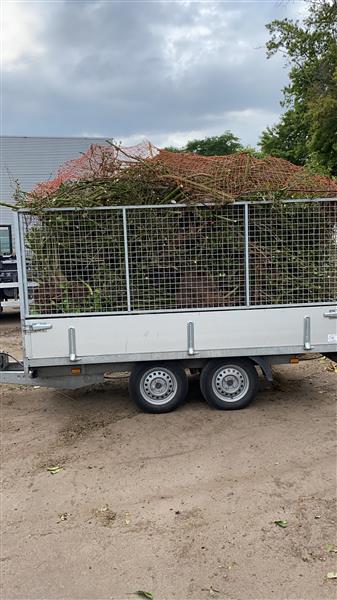 Grote foto tuinonderhoud regio breda tilburg dordrecht diensten en vakmensen tuinmannen en stratenmakers