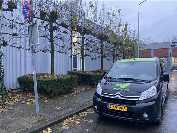 Grote foto tuinonderhoud regio breda tilburg dordrecht diensten en vakmensen tuinmannen en stratenmakers