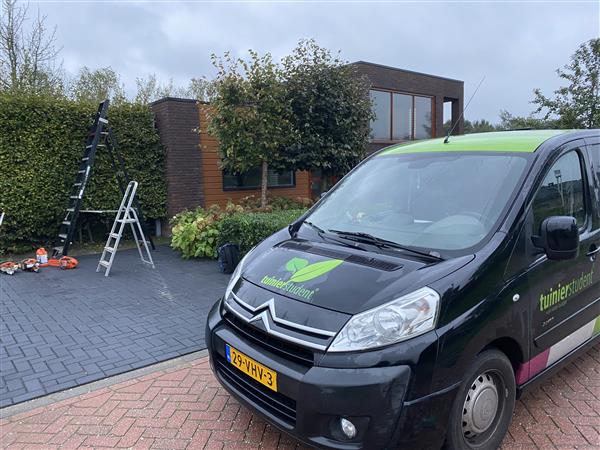 Grote foto tuinonderhoud regio breda tilburg dordrecht diensten en vakmensen tuinmannen en stratenmakers