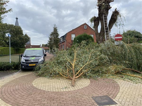 Grote foto tuinonderhoud regio breda tilburg dordrecht diensten en vakmensen tuinmannen en stratenmakers