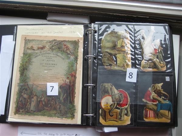 Grote foto verzamelingen van oude chromos dieren themas verzamelen dierenverzamelingen