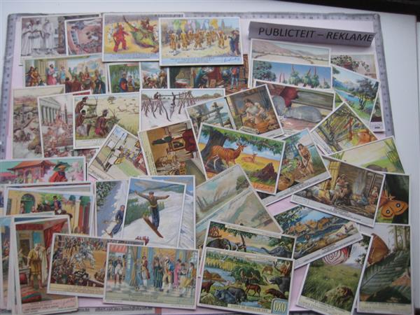 Grote foto verzamelingen van oude chromos dieren themas verzamelen dierenverzamelingen