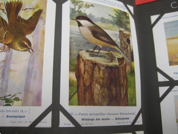 Grote foto verzamelingen van oude chromos dieren themas verzamelen dierenverzamelingen