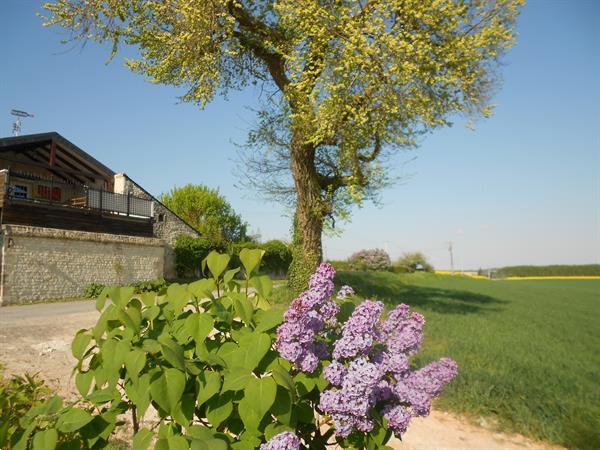 Grote foto vakantie huis frankrijk tussen tours en poitiers vakantie frankrijk