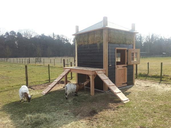 Grote foto douglas hooiberg tuin en terras tuinhuisjes en blokhutten
