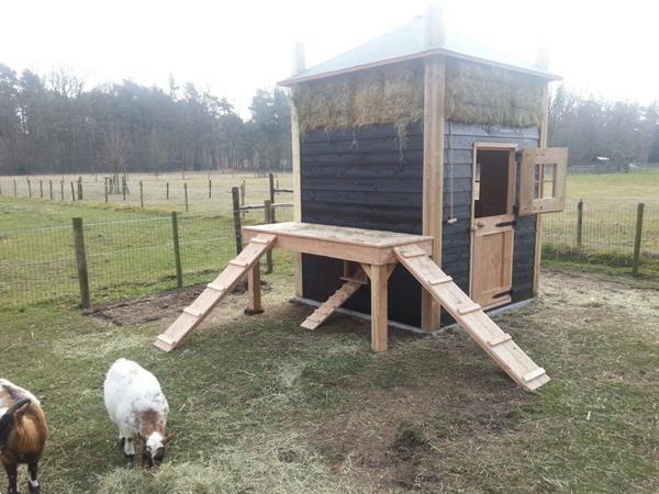 Grote foto douglas hooiberg tuin en terras tuinhuisjes en blokhutten