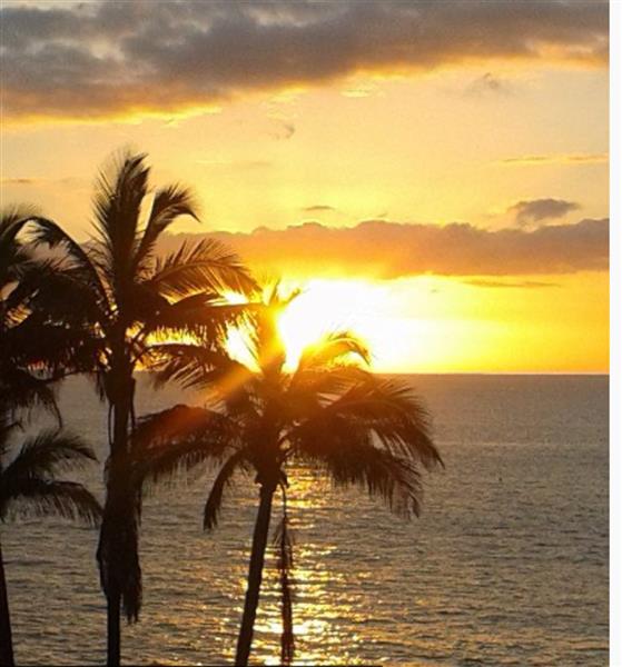 Grote foto prive apprtement op het strand tenerife vakantie spanje