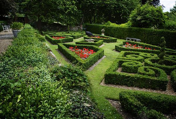 Grote foto engelse tuinen en parken rondreis op maat vakantie groepen en rondreizen