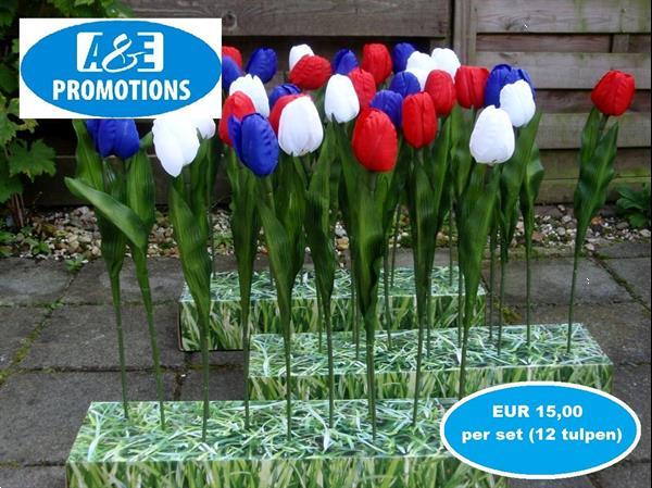Grote foto voorjaars tulpen decoratie verhuur 0599 416200 diversen pasen