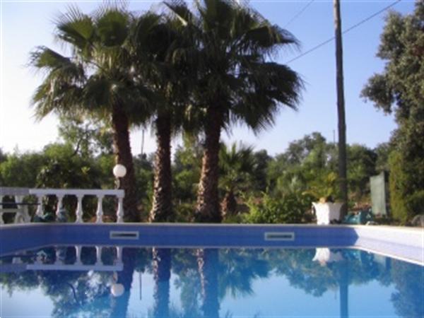 Grote foto algarve carvoeiro vrijst. villa met zwembad. vakantie portugal