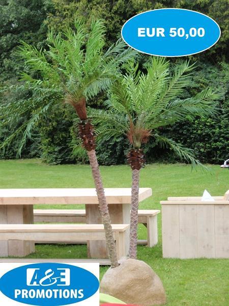 Grote foto verhuur caribische decoratie palmbomen huren diversen overige diversen