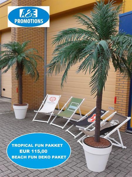 Grote foto verhuur caribische decoratie palmbomen huren diversen overige diversen