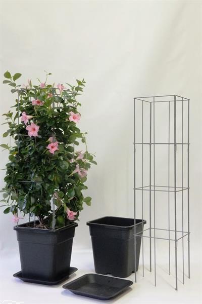 Grote foto plantenpot bloembak waterschotel en plantensteun tuin en terras bloembakken