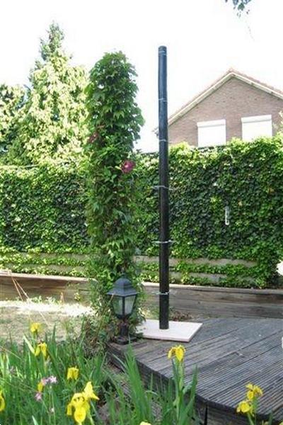 Grote foto plantensteun klimmende planten klimplantklemmen tuin en terras tuinhout en palen